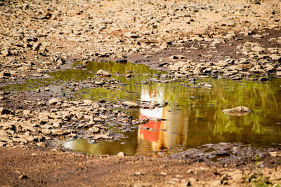 View of drinking water from a lake