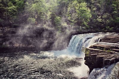 View of waterfall in forest