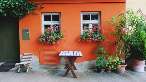 Potted plants and table at yard of house