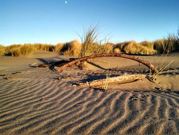 Sand dune at beach against clear sky