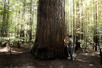 Young man standing amidst trees in forest