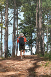 Rear view of woman walking in forest