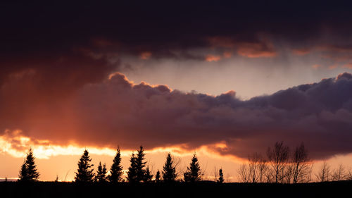 Scenic view of silhouette trees against sky during sunset