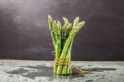 Close-up of potted plant on table