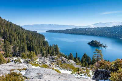 Pine trees by lake against blue sky