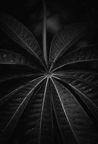 Full frame shot of water