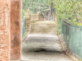 Walkway along trees