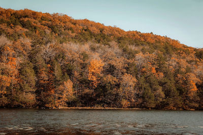 Scenic view of lake against sky during autumn