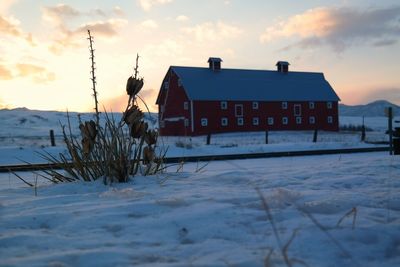 Scenic view of snow covered field at sunset