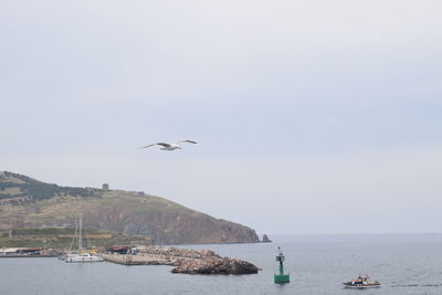 Seagulls flying over sea against sky