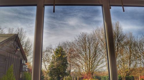 Low angle view of trees against cloudy sky