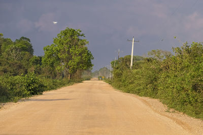 Road amidst trees against sky