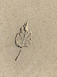 Close-up of sand