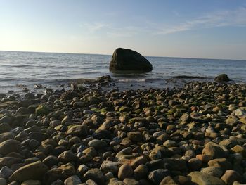 Surface level of pebble beach