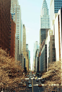 Low angle view of city street