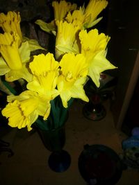 Close-up of yellow flowers