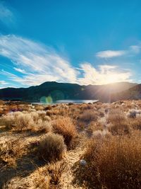 Scenic view of landscape against sky