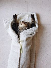 High angle view of cat wrapped in towel sleeping on tiled floor