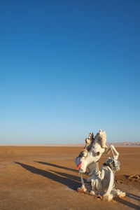 Horse cart on desert against clear blue sky