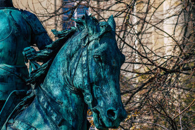 Close-up of statue against bare trees