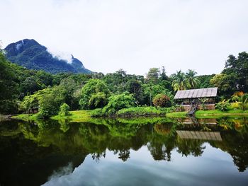 Scenic view of lake by trees against sky