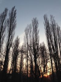 Low angle view of silhouette trees against sky during sunset