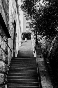 Low angle view of staircase