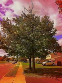 Trees growing by road against cloudy sky