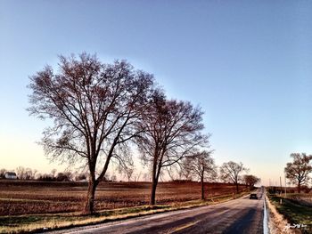 Bare trees on country road against clear sky
