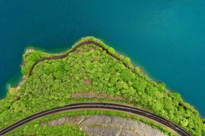 High angle view of tree by sea