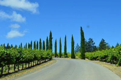 Panoramic shot of road by trees against blue sky