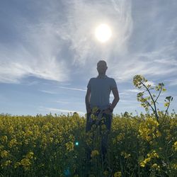 Rear view of person standing on field against sky