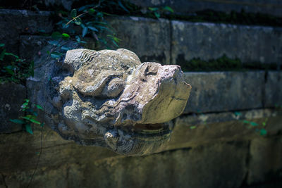 Close-up of rock