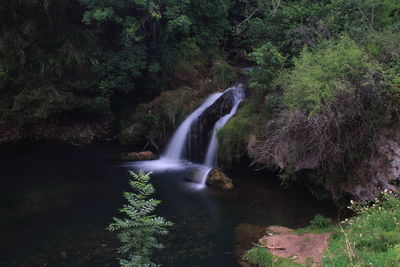 Waterfall in forest