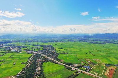 Aerial view of field