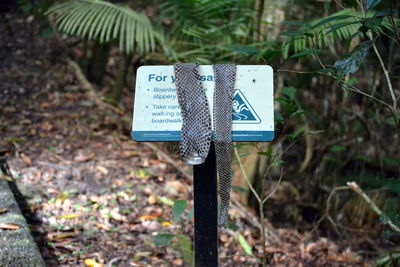 Close-up of information sign