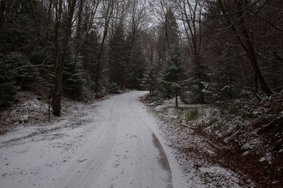 Road amidst bare trees in forest during winter