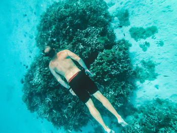 Rear view full length of shirtless man swimming in sea