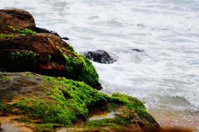 Rock formation on sea shore