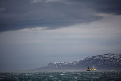 Fish trawler in bad weather of the coast of iceland