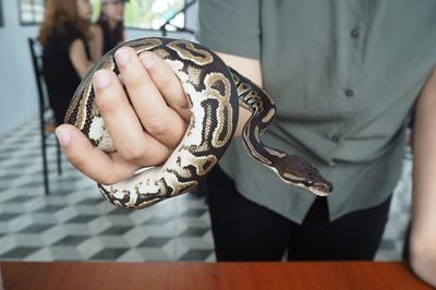 Midsection of hand holding snake at home