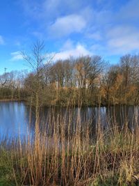 Scenic view of lake against sky