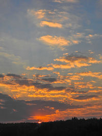 Low angle view of silhouette trees against sky during sunset