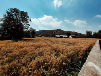 Scenic view of farm against sky