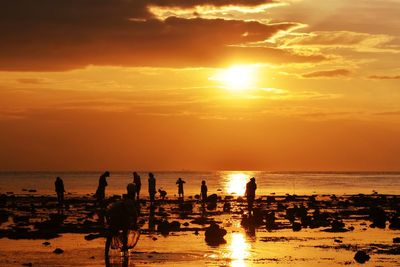 Silhouette of people on beach during sunset