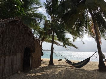 Palm trees on beach against sky