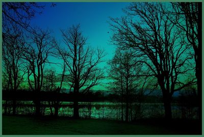 Silhouette bare trees in forest against clear sky