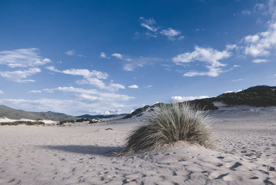 View of sandy beach with mountain range in background