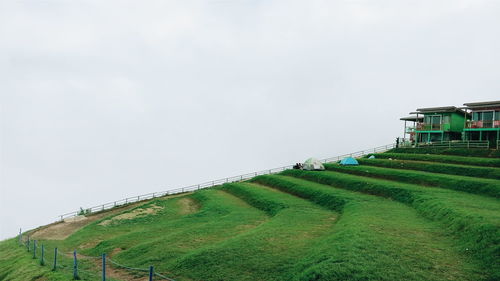 Low angle view of field against clear sky