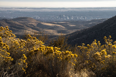 Boise foothills 